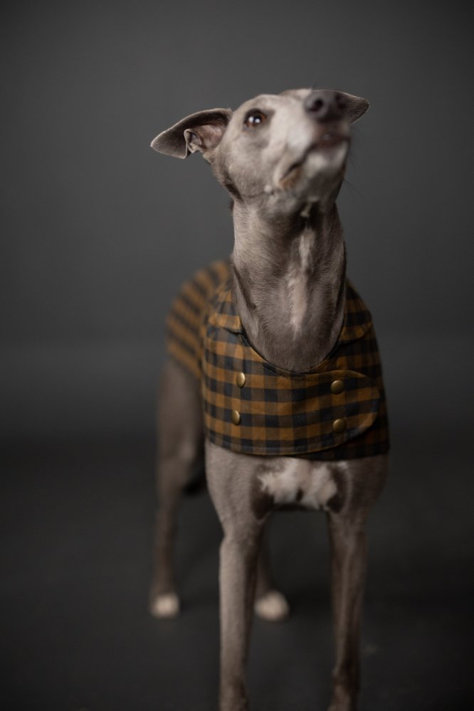 Merchant & Mills – The Barka Dog Coat