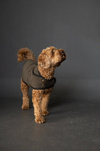 Merchant & Mills – The Barka Dog Coat