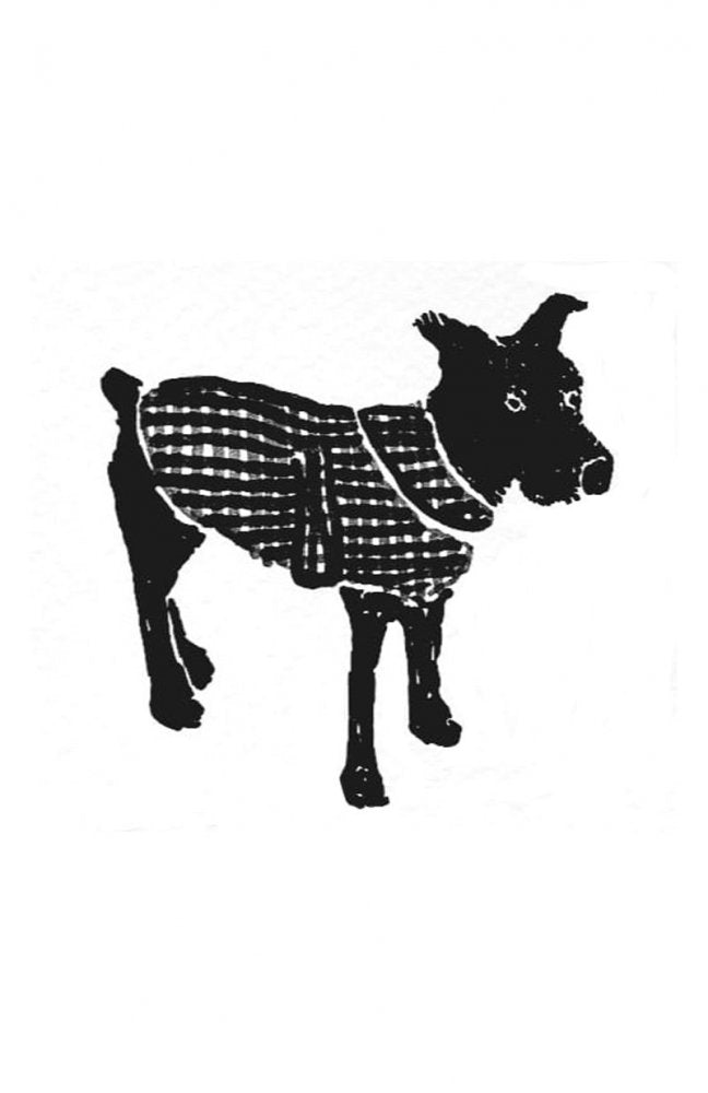 Merchant & Mills – The Barka Dog Coat