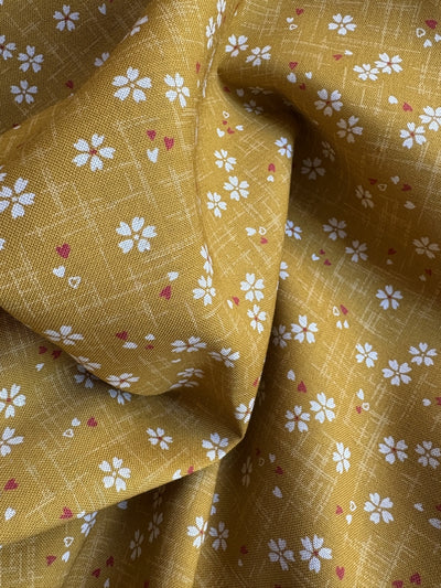 Sakura mit Herzchen - curry