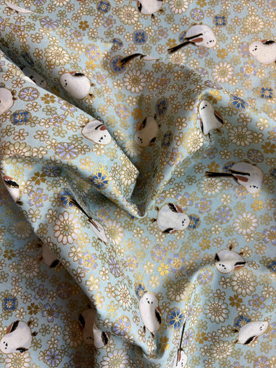 Shima Enaga - Gold/ Himmelblau